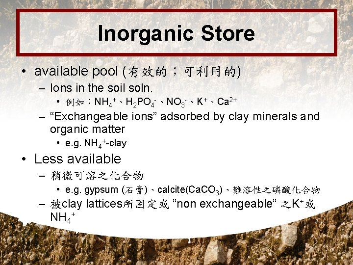 Inorganic Store • available pool (有效的；可利用的) – Ions in the soil soln. • 例如：NH