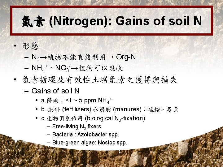 氮素 (Nitrogen): Gains of soil N • 形態 – N 2→植物不能直接利用 ，Org-N – NH