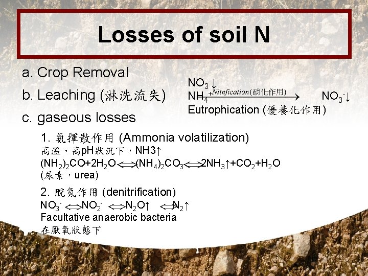 Losses of soil N a. Crop Removal b. Leaching (淋洗流失) c. gaseous losses NO