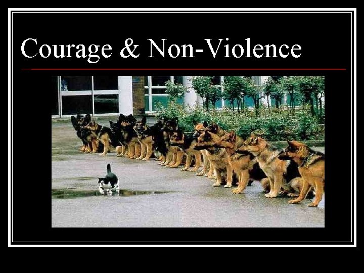 Courage & Non-Violence Courage & Non-Violence