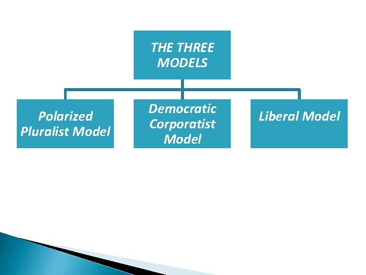 THE THREE MODELS Polarized Pluralist Model Democratic Corporatist Model Liberal Model 