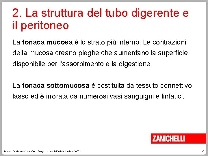 2. La struttura del tubo digerente e il peritoneo La tonaca mucosa è lo