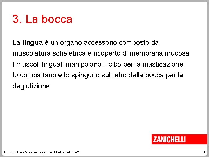 3. La bocca La lingua è un organo accessorio composto da muscolatura scheletrica e
