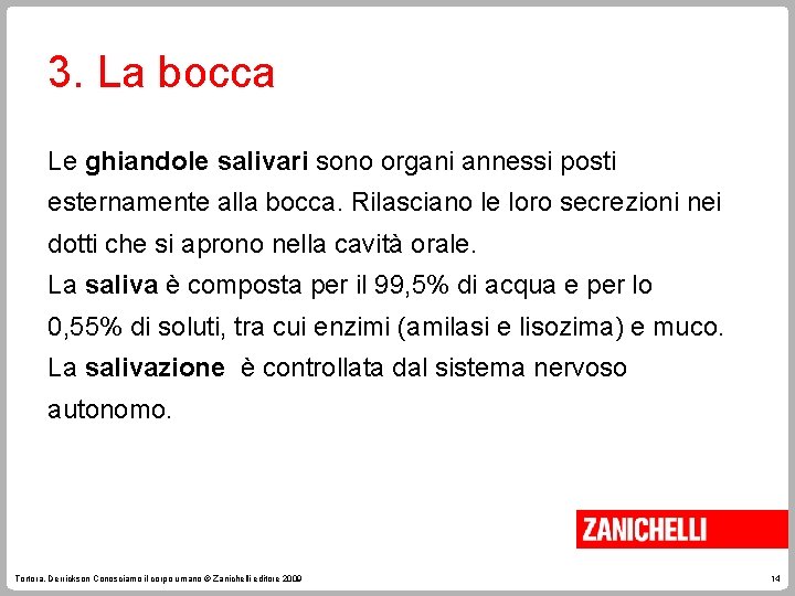 3. La bocca Le ghiandole salivari sono organi annessi posti esternamente alla bocca. Rilasciano