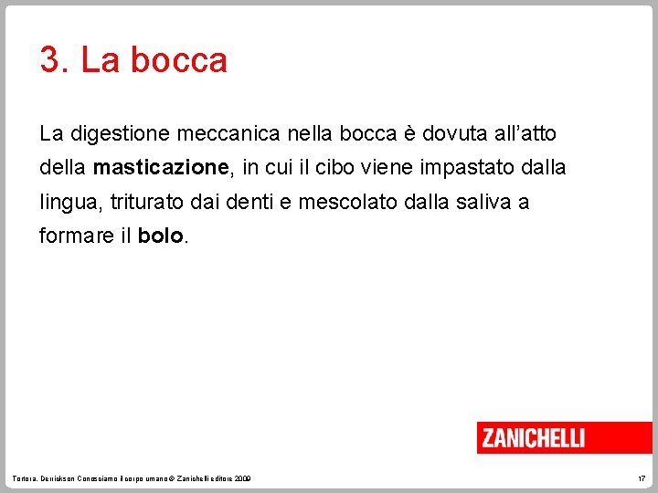 3. La bocca La digestione meccanica nella bocca è dovuta all’atto della masticazione, in