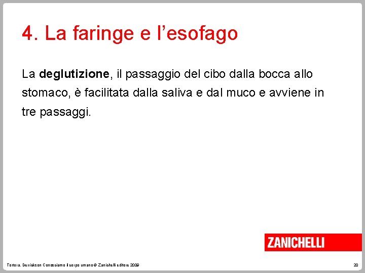 4. La faringe e l’esofago La deglutizione, il passaggio del cibo dalla bocca allo