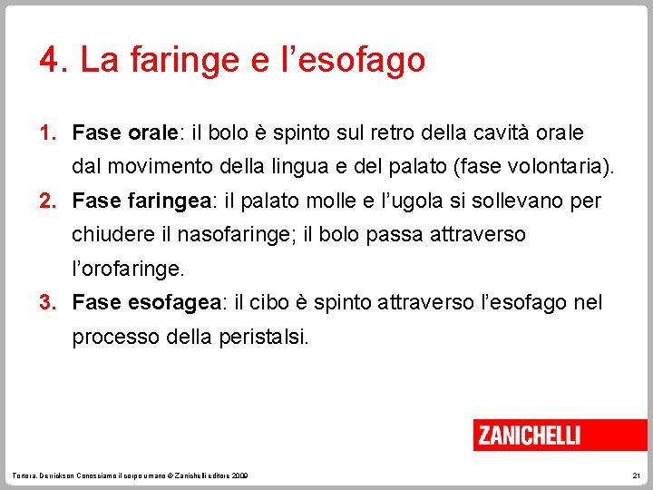 4. La faringe e l’esofago 1. Fase orale: il bolo è spinto sul retro