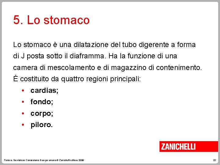 5. Lo stomaco è una dilatazione del tubo digerente a forma di J posta