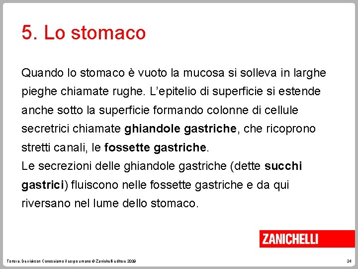 5. Lo stomaco Quando lo stomaco è vuoto la mucosa si solleva in larghe