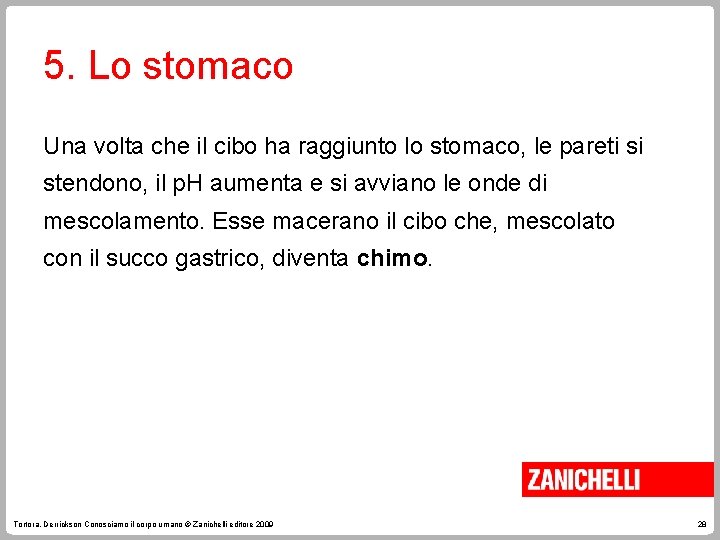 5. Lo stomaco Una volta che il cibo ha raggiunto lo stomaco, le pareti