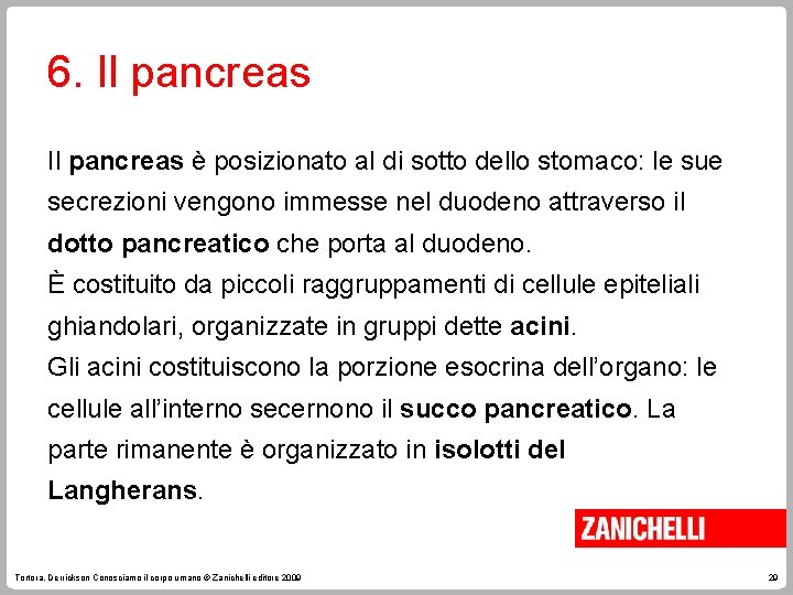 6. Il pancreas è posizionato al di sotto dello stomaco: le sue secrezioni vengono