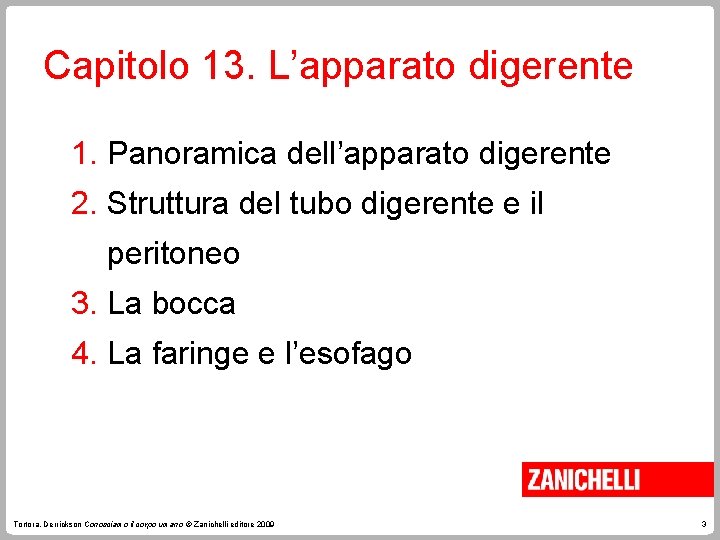 Capitolo 13. L’apparato digerente 1. Panoramica dell’apparato digerente 2. Struttura del tubo digerente e