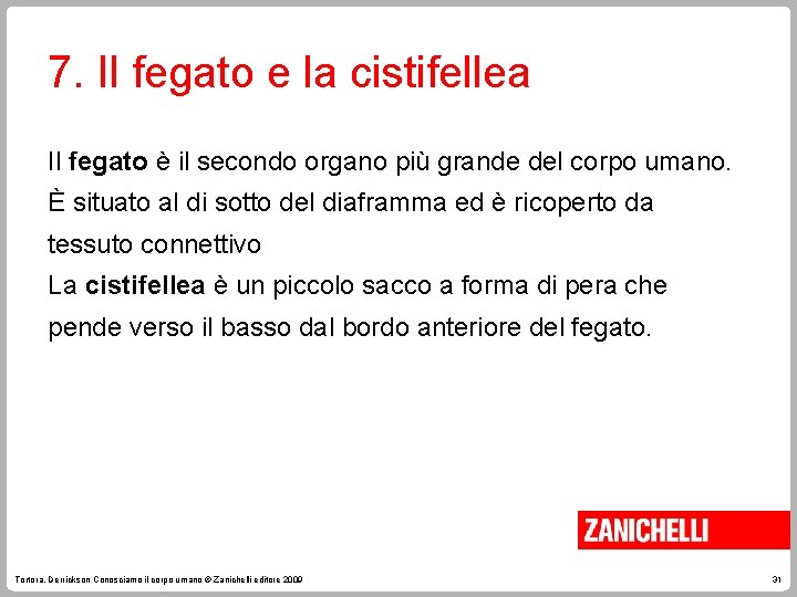 7. Il fegato e la cistifellea Il fegato è il secondo organo più grande