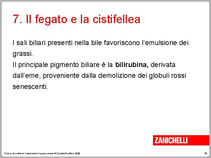 7. Il fegato e la cistifellea I sali biliari presenti nella bile favoriscono l’emulsione