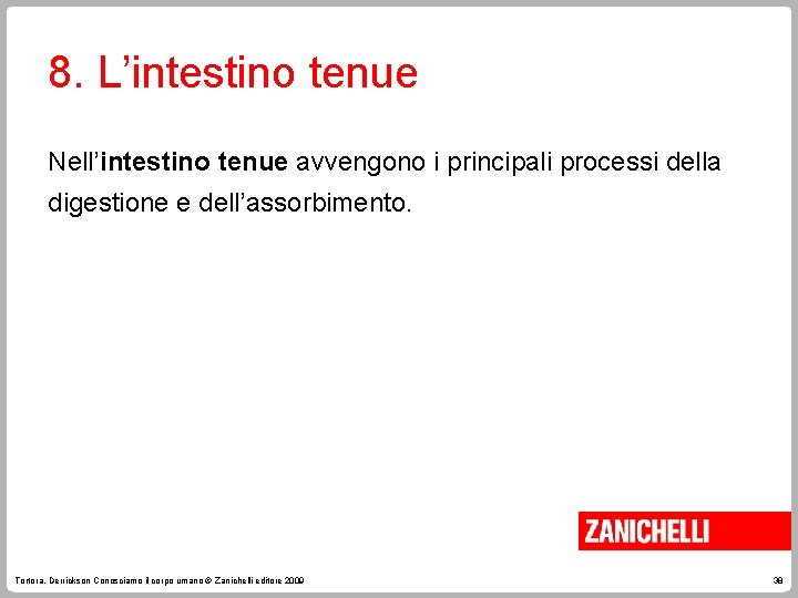 8. L’intestino tenue Nell’intestino tenue avvengono i principali processi della digestione e dell’assorbimento. Tortora,