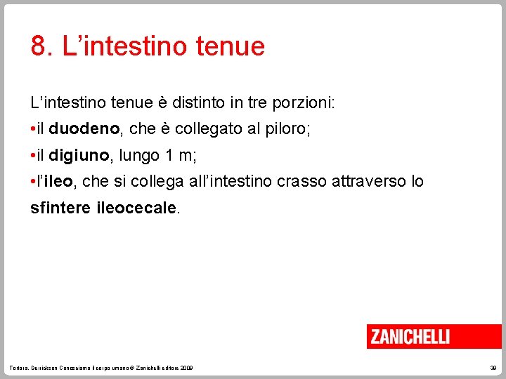 8. L’intestino tenue è distinto in tre porzioni: • il duodeno, che è collegato