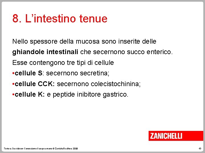 8. L’intestino tenue Nello spessore della mucosa sono inserite delle ghiandole intestinali che secernono
