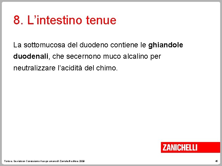 8. L’intestino tenue La sottomucosa del duodeno contiene le ghiandole duodenali, che secernono muco