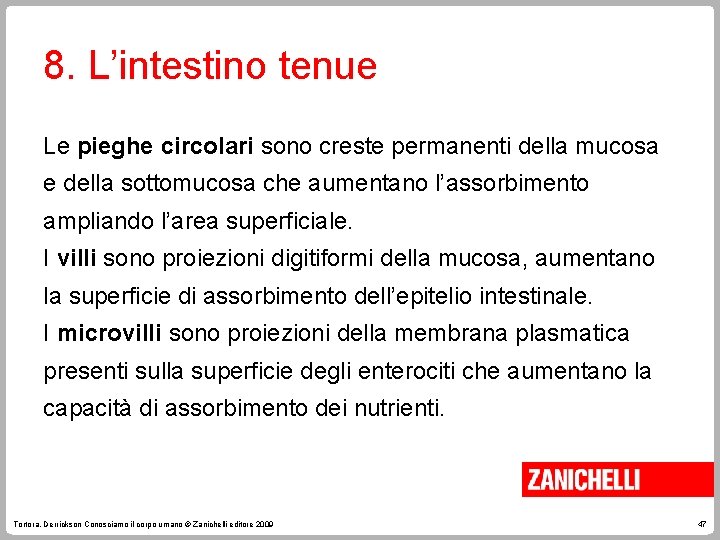 8. L’intestino tenue Le pieghe circolari sono creste permanenti della mucosa e della sottomucosa