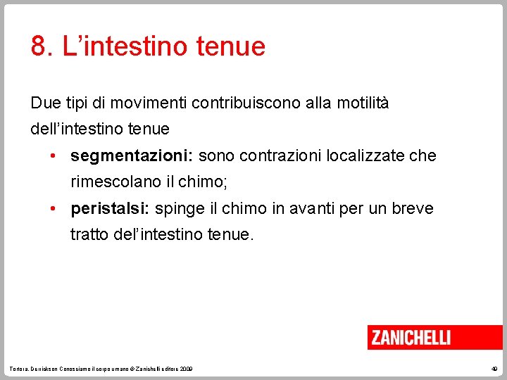 8. L’intestino tenue Due tipi di movimenti contribuiscono alla motilità dell’intestino tenue • segmentazioni:
