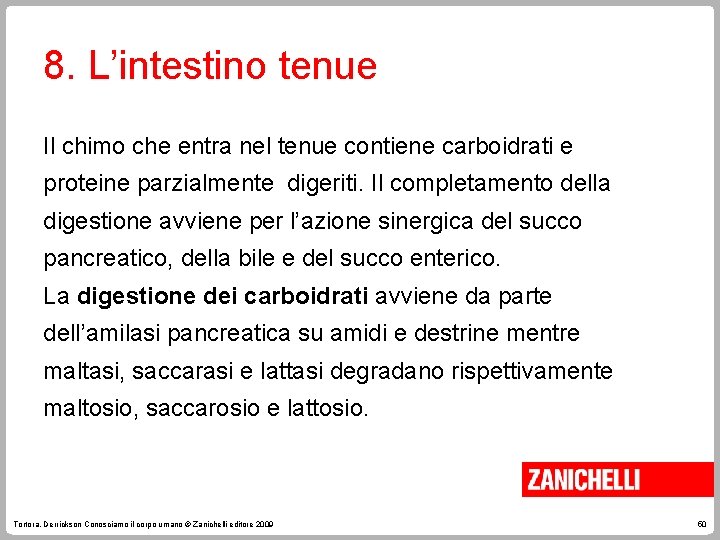 8. L’intestino tenue Il chimo che entra nel tenue contiene carboidrati e proteine parzialmente