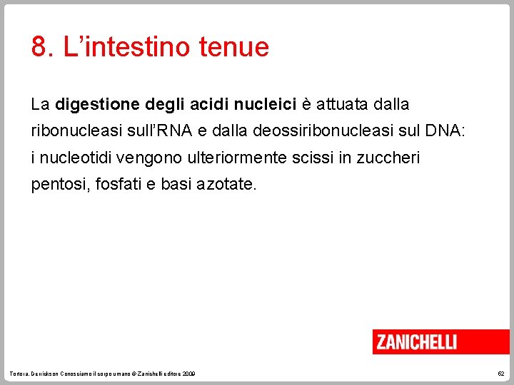 8. L’intestino tenue La digestione degli acidi nucleici è attuata dalla ribonucleasi sull’RNA e