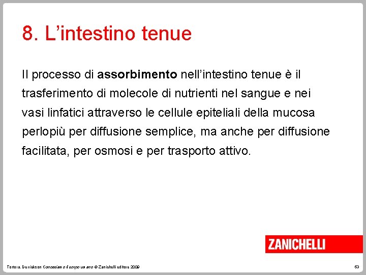 8. L’intestino tenue Il processo di assorbimento nell’intestino tenue è il trasferimento di molecole