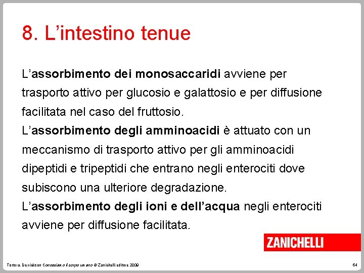 8. L’intestino tenue L’assorbimento dei monosaccaridi avviene per trasporto attivo per glucosio e galattosio