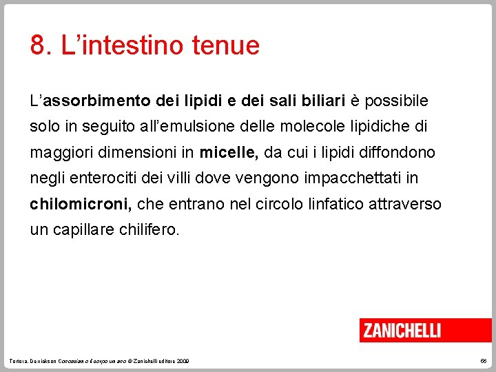 8. L’intestino tenue L’assorbimento dei lipidi e dei sali biliari è possibile solo in