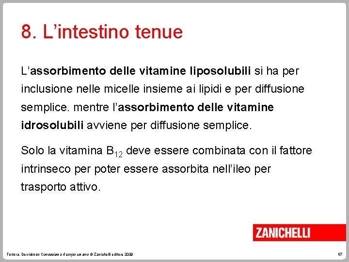 8. L’intestino tenue L’assorbimento delle vitamine liposolubili si ha per inclusione nelle micelle insieme