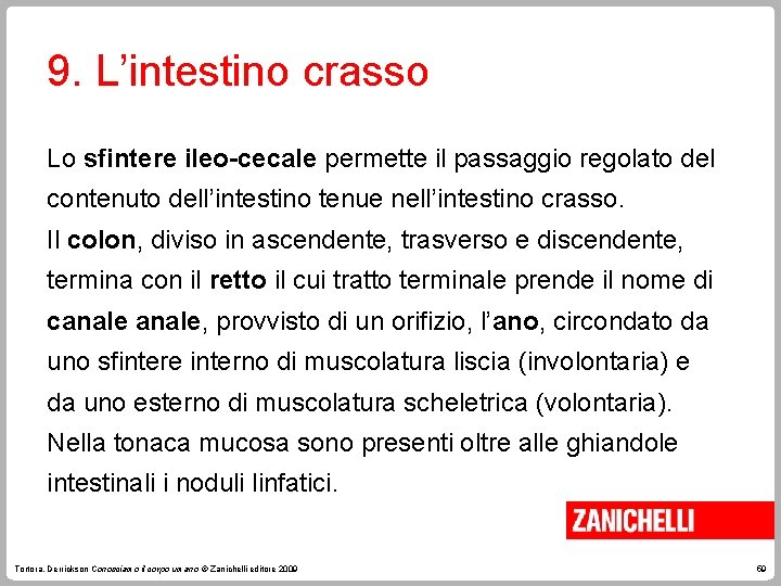 9. L’intestino crasso Lo sfintere ileo-cecale permette il passaggio regolato del contenuto dell’intestino tenue