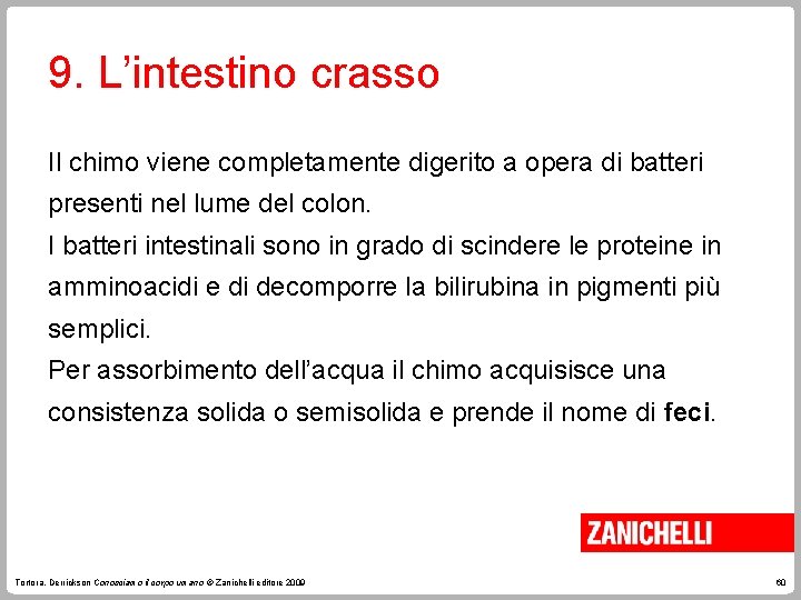 9. L’intestino crasso Il chimo viene completamente digerito a opera di batteri presenti nel