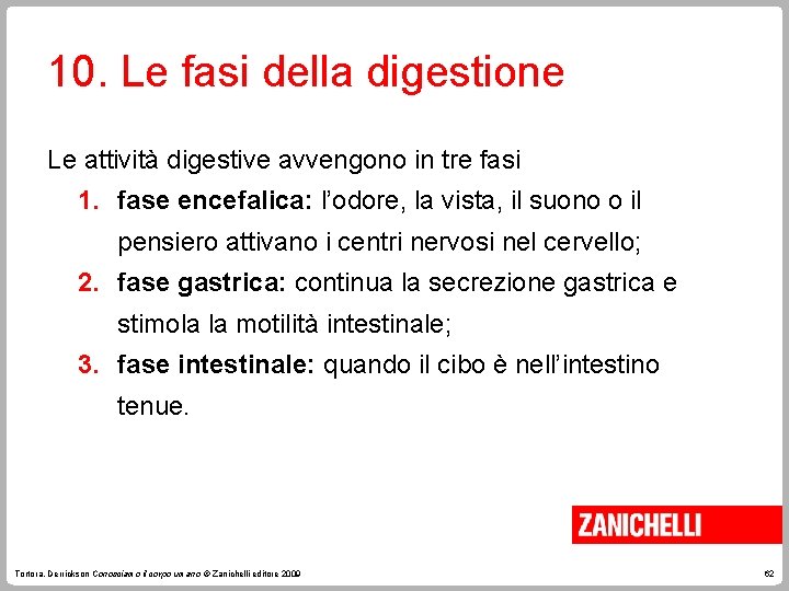 10. Le fasi della digestione Le attività digestive avvengono in tre fasi 1. fase
