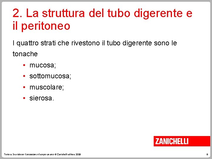 2. La struttura del tubo digerente e il peritoneo I quattro strati che rivestono