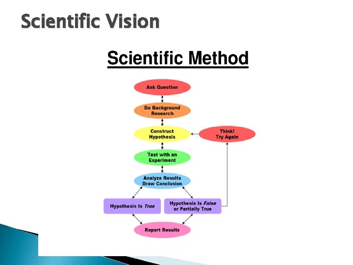 Scientific Vision 
