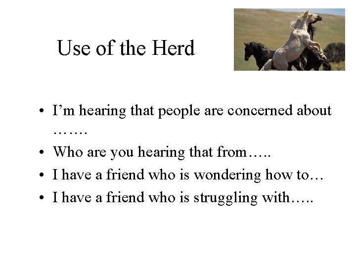 Use of the Herd • I’m hearing that people are concerned about ……. •
