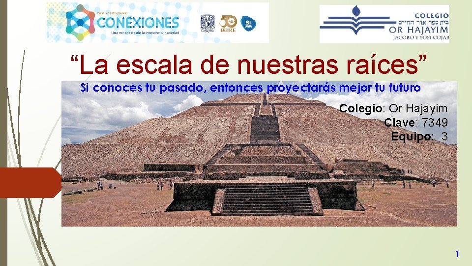 “La escala de nuestras raíces” Si conoces tu pasado, entonces proyectarás mejor tu futuro