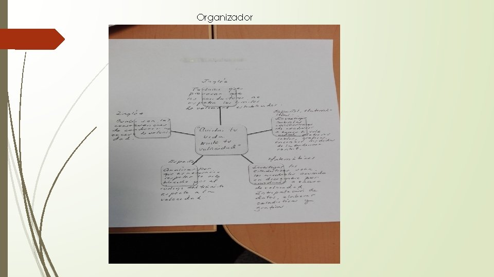 Organizador 