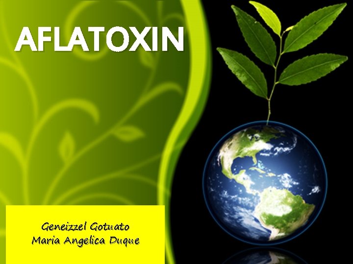 AFLATOXIN Geneizzel Gotuato Maria Angelica Duque 