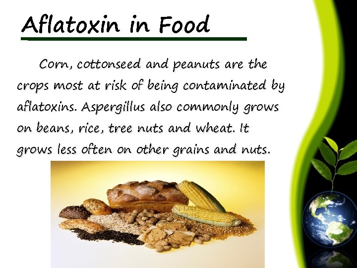Aflatoxin in Food Corn, cottonseed and peanuts are the crops most at risk of