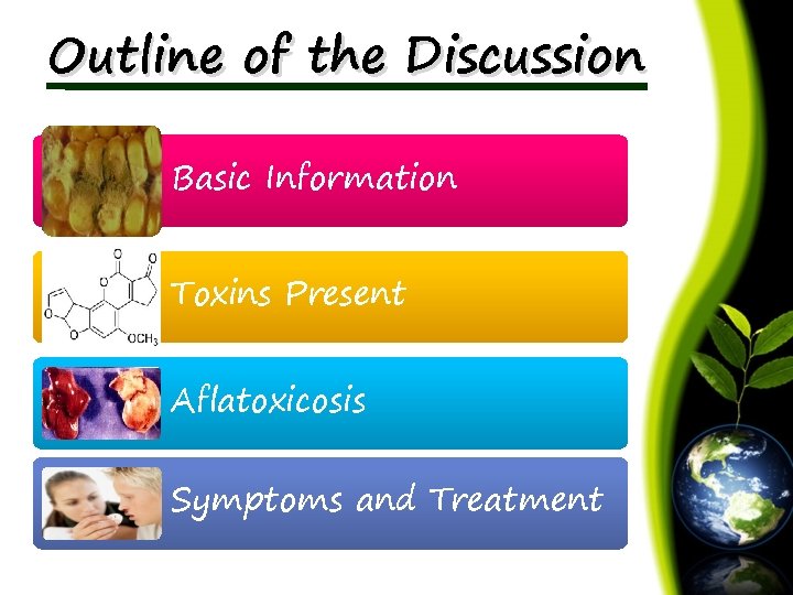 Outline of the Discussion Basic Information Toxins Present Aflatoxicosis Symptoms and Treatment 