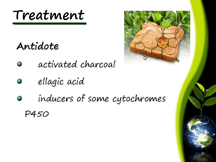 Treatment Antidote activated charcoal ellagic acid inducers of some cytochromes P 450 
