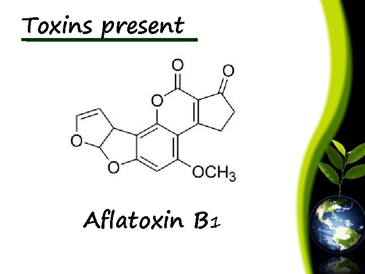 Toxins present Aflatoxin B 1 