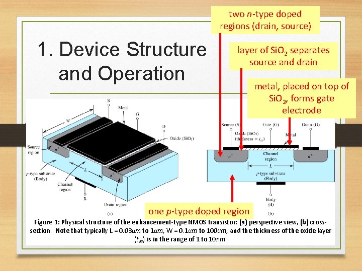 two n-type doped regions (drain, source) 1. Device Structure and Operation layer of Si.