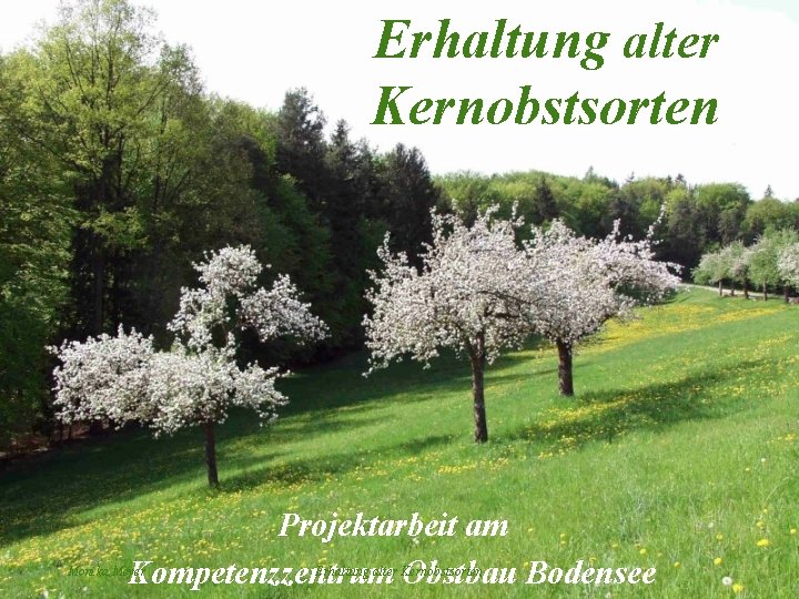 Erhaltung alter Kernobstsorten Projektarbeit am Kompetenzzentrum Obstbau Bodensee Monika Meyer Erhaltung alter Kernobstsorten 