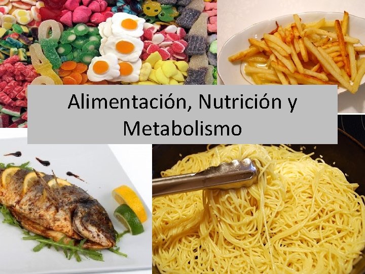 Alimentación, Nutrición y Metabolismo 