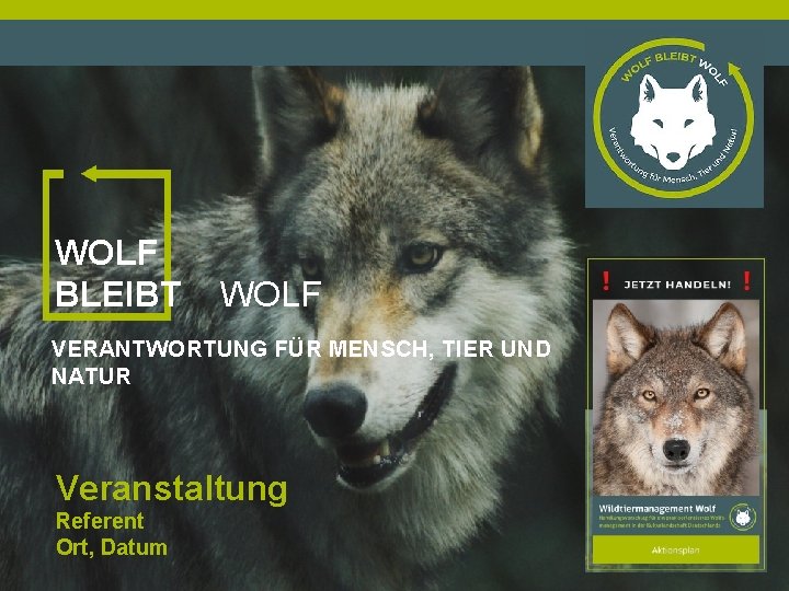 WOLF BLEIBT WOLF VERANTWORTUNG FÜR MENSCH, TIER UND NATUR Veranstaltung Referent Ort, Datum 