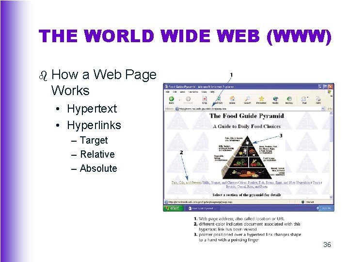 THE WORLD WIDE WEB (WWW) b How a Web Page Works • Hypertext •