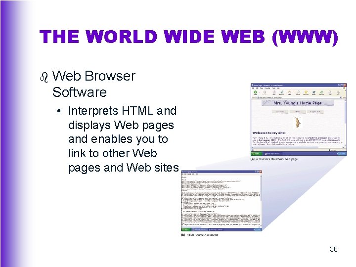 THE WORLD WIDE WEB (WWW) b Web Browser Software • Interprets HTML and displays