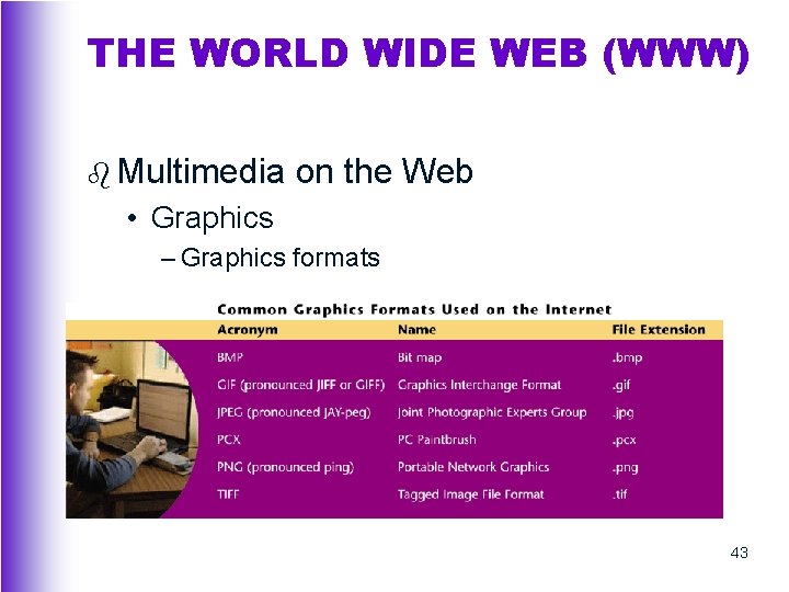 THE WORLD WIDE WEB (WWW) b Multimedia on the Web • Graphics – Graphics